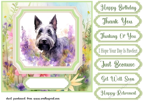 Floral Scottish Terrier card front 8