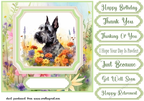 Floral Scottish Terrier card front 9