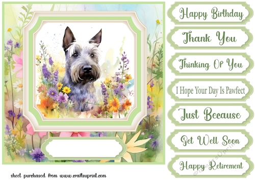 Floral Scottish Terrier card front 10