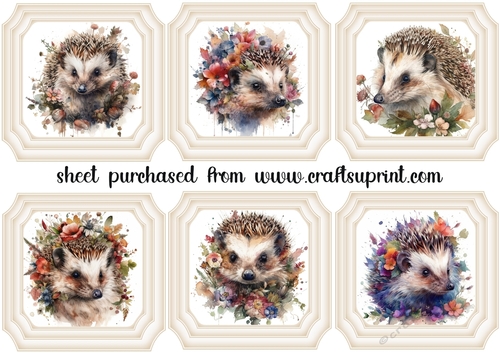 6 Floral hedgehog toppers 1