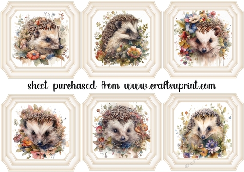 6 Floral hedgehog toppers 2