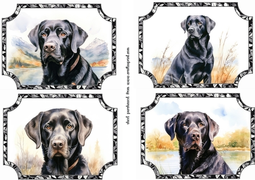 4 Black lab toppers