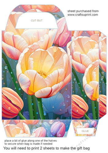 Tulips gift bag 5
