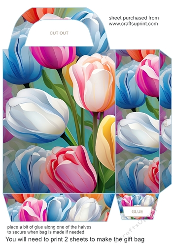 Tulips gift bag 6