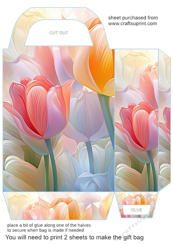 Tulips gift bag 10