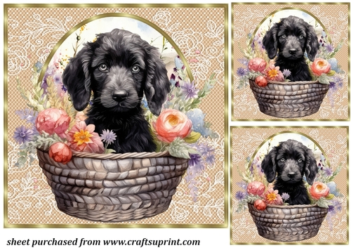 3 Floral pup in basket card front/toppers 13