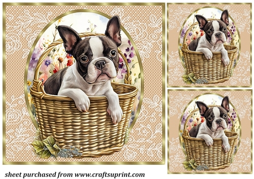 3 Floral pup in basket card front/toppers 14