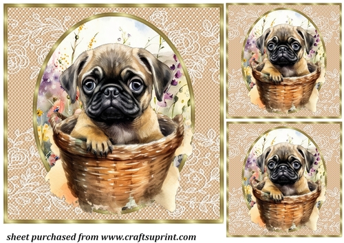 3 Floral pup in basket card front/toppers 17