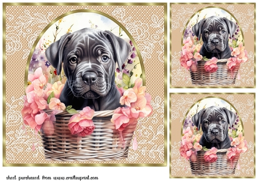 3 Floral pup in basket card front/toppers 22