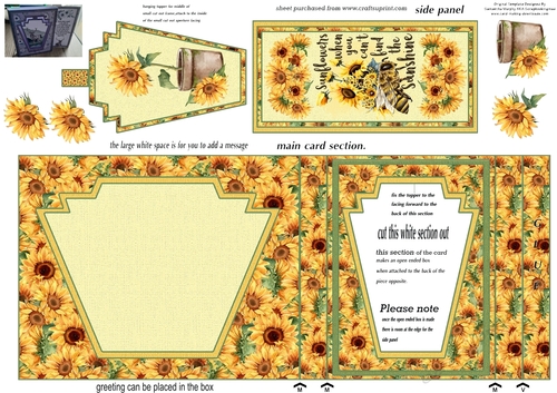 All about the sunflowers aperture card