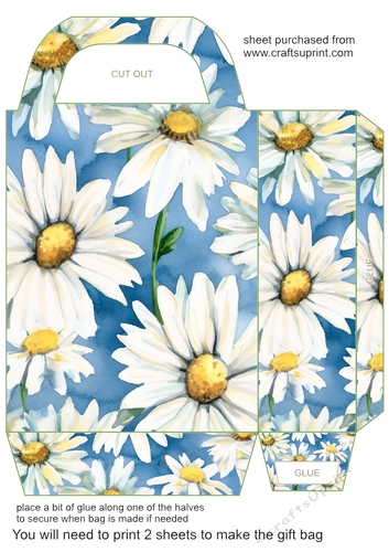 Daisies gift bag 1