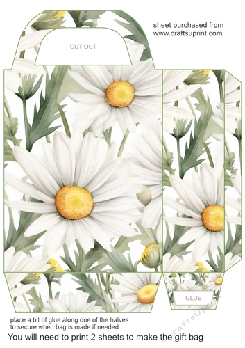 Daisies gift bag 5