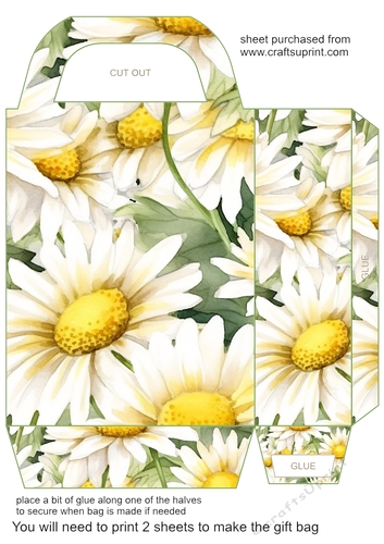 Daisies gift bag 6