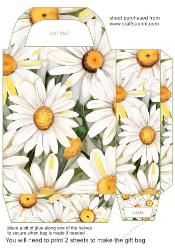 Daisies gift bag 7