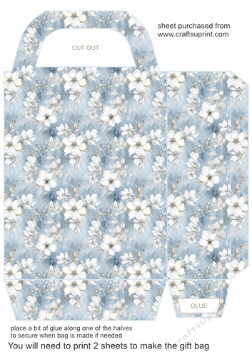 Blue winter gift bag 12