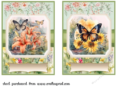 Two 7 x 5 Aprox Floral butterfly card fronts