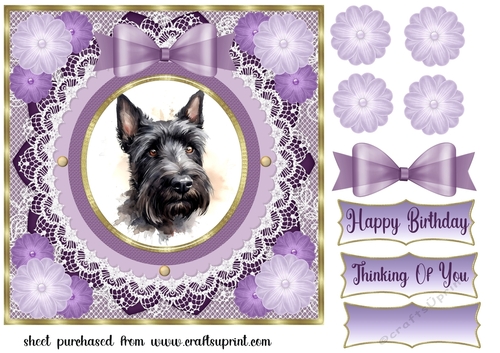 Purple framed Scottish terrier card front 7