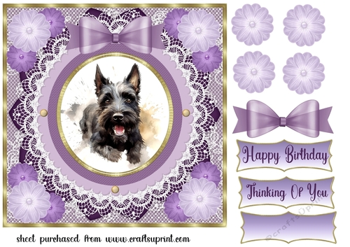 Purple framed Scottish terrier card front 8