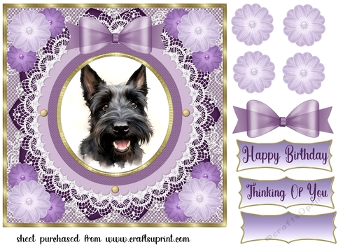 Purple framed Scottish terrier card front 9