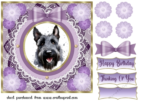 Purple framed Scottish terrier card front 11