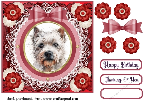 Red Westie card front 7