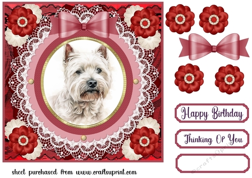 Red Westie card front 12