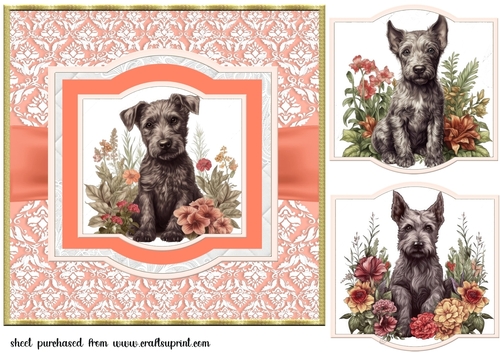 Vintage Scottish terrier puppy card front 1