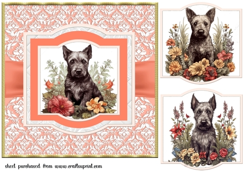 Vintage Scottish terrier puppy card front 2