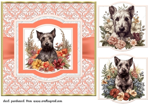 Vintage Scottish terrier puppy card front 3