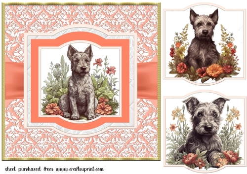 Vintage Scottish terrier puppy card front 4