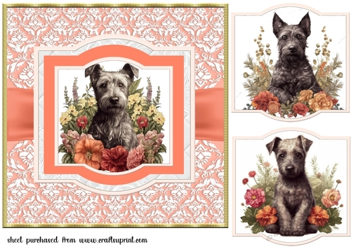 Vintage Scottish terrier puppy card front 5