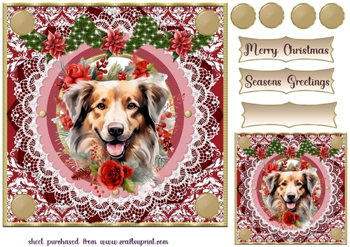 Red floral Christmas dog card front 1