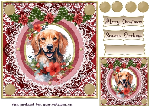 Red floral Christmas dog card front 7