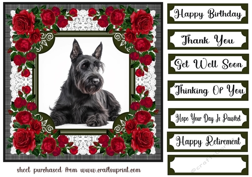 Lace and red roses Scottish terrier card front 1