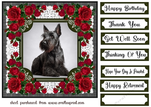 Lace and red roses Scottish terrier card front 3