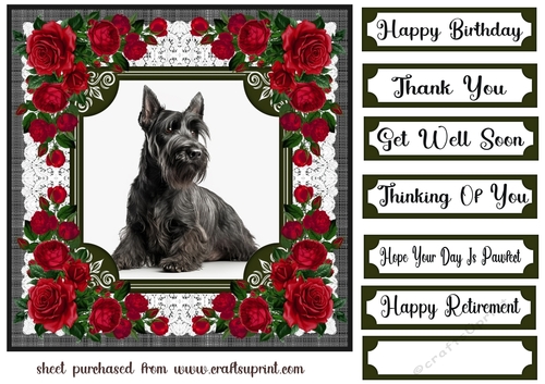 Lace and red roses Scottish terrier card front 4