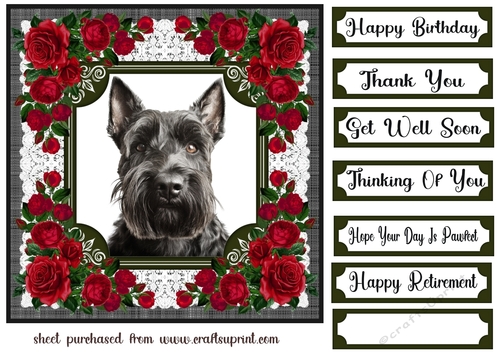 Lace and red roses Scottish terrier card front 5