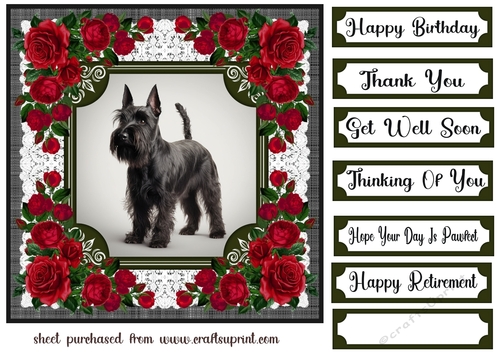 Lace and red roses Scottish terrier card front 6