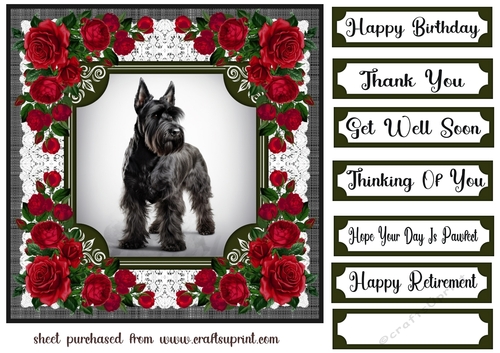 Lace and red roses Scottish terrier card front 7