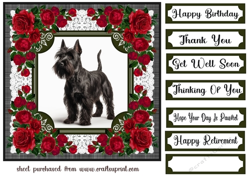 Lace and red roses Scottish terrier card front 9