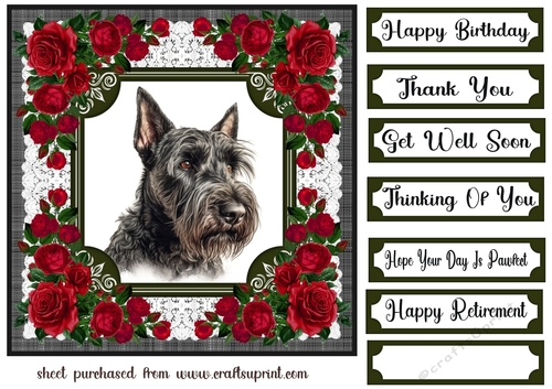 Lace and red roses Scottish terrier card front 11