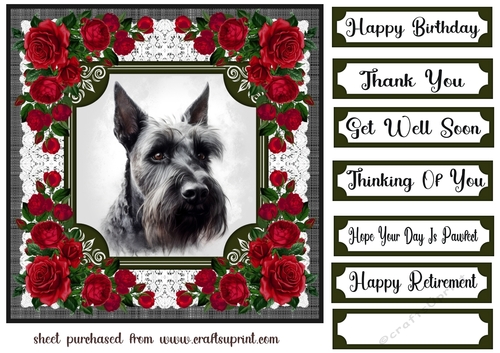 Lace and red roses Scottish terrier card front 12
