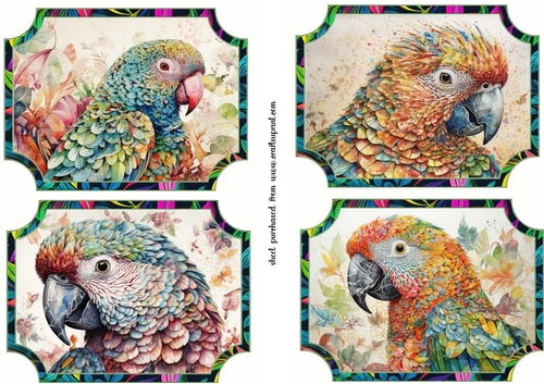 4 Funky parrot toppers 
