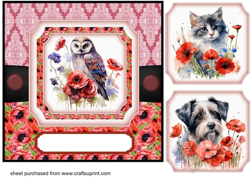 All about the poppies card front 1