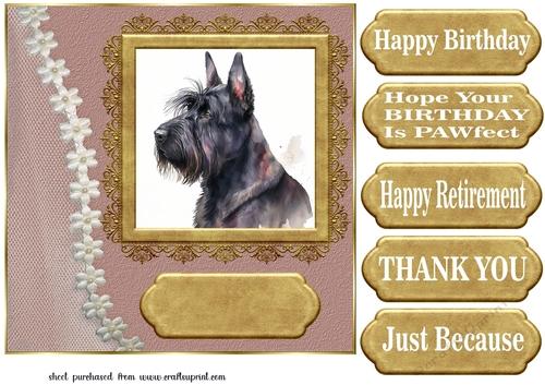 Framed Scottish terrier card front 10