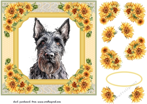 Sunflower Scottish terrier card front 1