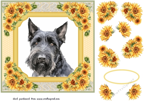 Sunflower Scottish terrier card front 5