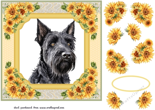 Sunflower Scottish terrier card front 6