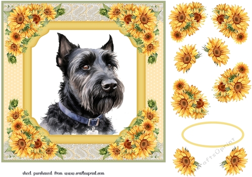 Sunflower Scottish terrier card front 7
