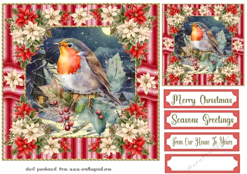 Poinsettia Christmas robin card front 1